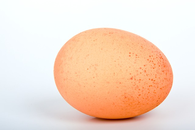 egg-16868_640